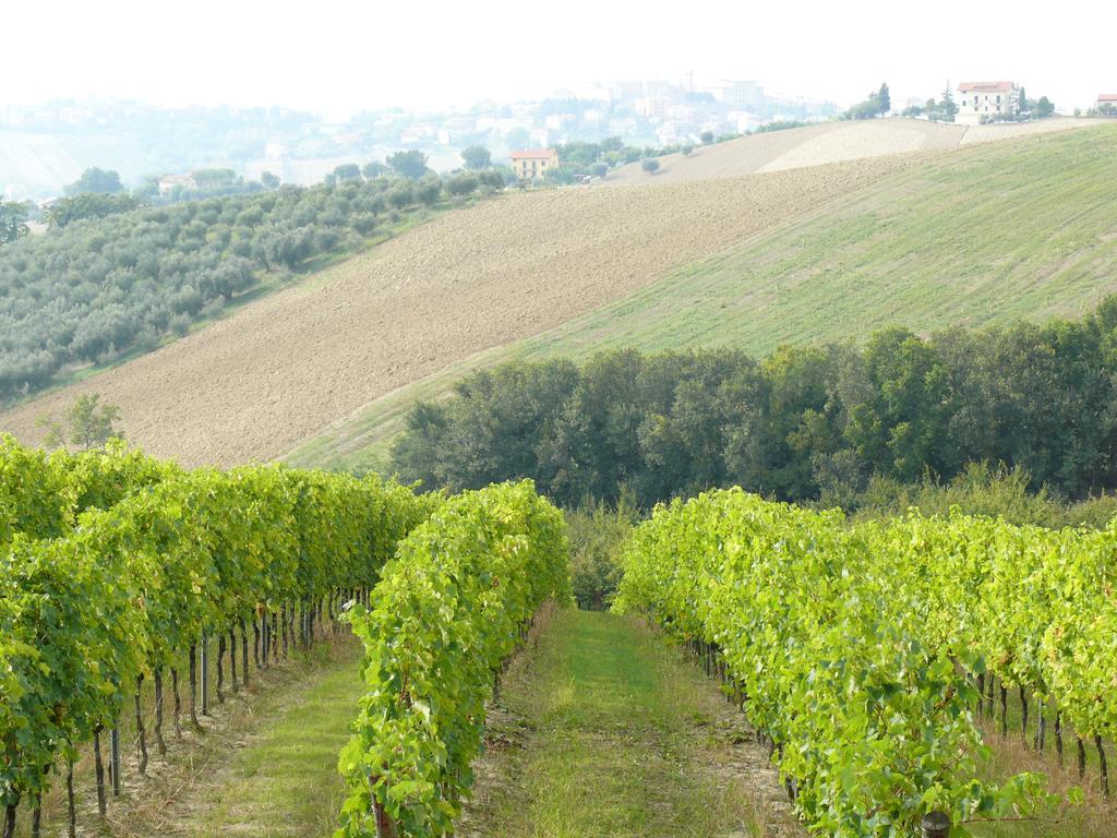 Agriturismo Al Rifugio Divino Belvedere Ostrense Exterior photo